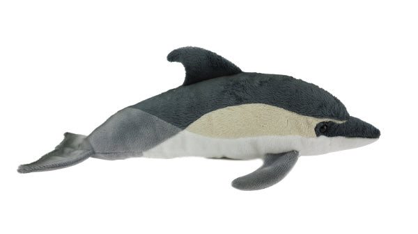 Antics Dolphin common with Sound
