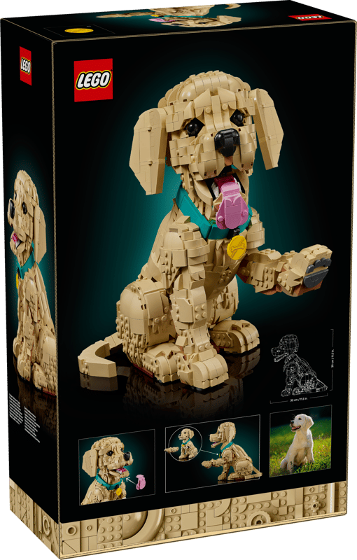 LEGO 11384 Icons Golden Retriever Puppy