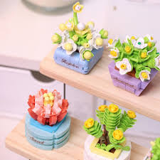 Koco 1001 CDU12 Assorted Succulent Potted Plants