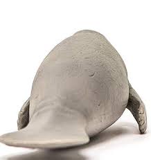 Schleich Manatee