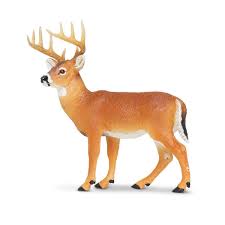 Schleich White-Tailed Buck (New)