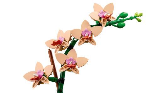 LEGO 10343 Botanicals Mini Orchid
