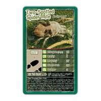 TOP TRUMPS BUGS - WHICH IS THE CREEPIEST ?
