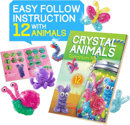 Crystal Growing Terrarium Kit