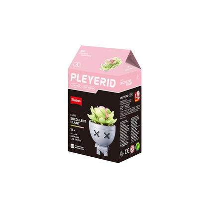 Sluban B 1076D Potted Plants Succulents CDU 6 Assorted