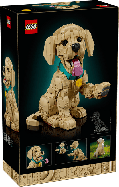 LEGO 11384 Icons Golden Retriever Puppy