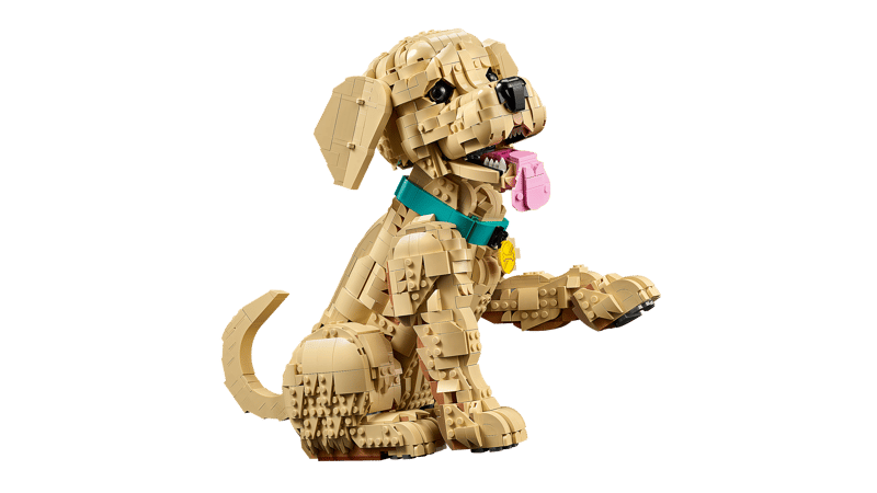 LEGO 11384 Icons Golden Retriever Puppy