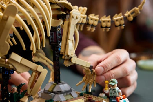 LEGO 77985 Jurassic World Dinosaur Fossils: Triceratops