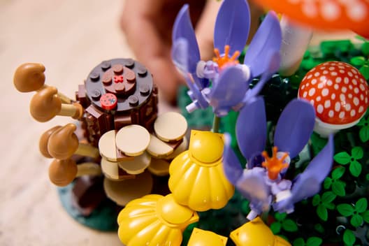 LEGO 11505 Botanicals Woodland Mushrooms