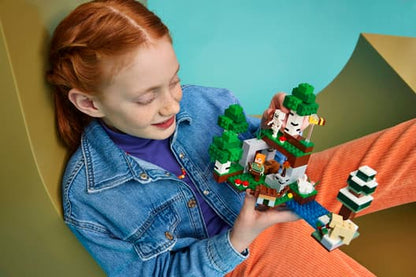 LEGO 21593 First Night Adventure