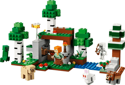 LEGO 21593 First Night Adventure