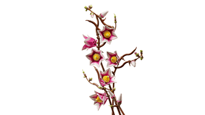 LEGO 11510 Botanicals Magnolia Branches