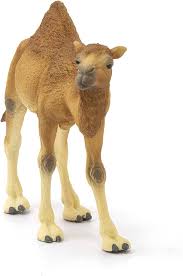 schleich dromedary camel