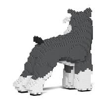 Standard Schnauzer 02-M01