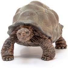 Schleich Giant Tortoise