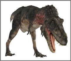 Brainstorm Toys Dinosaur Projector & Nightlight