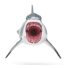 Schleich 15055 Megalodon