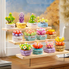 Koco  1001 CDU12 Assorted Succulent Potted Plants
