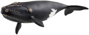 Schleich North Atlantic Right Whale