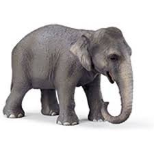 Schleich Asian Elephant