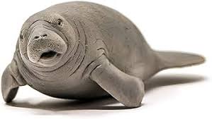 Schleich Manatee