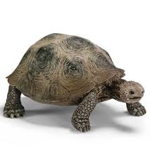 Schleich Giant Tortoise