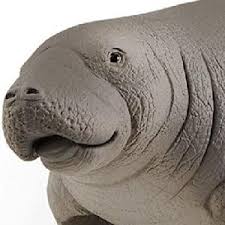 Schleich Manatee