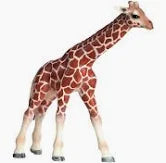 Schleich Giraffe Calf