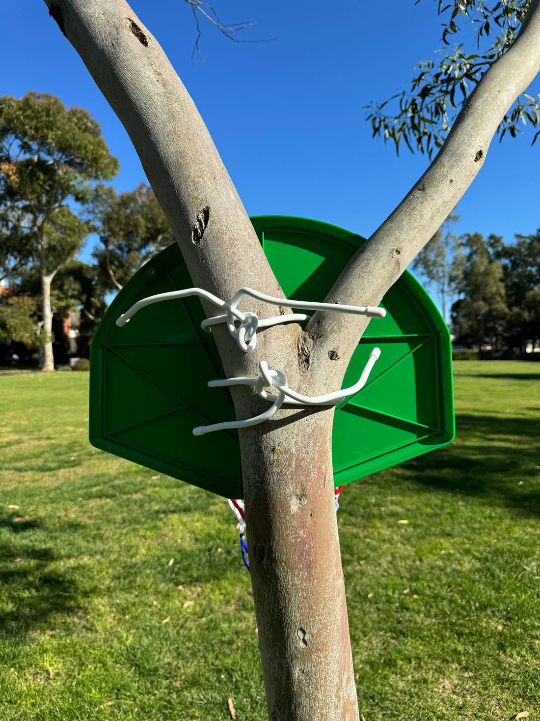 Everywhere Basketball Board Set