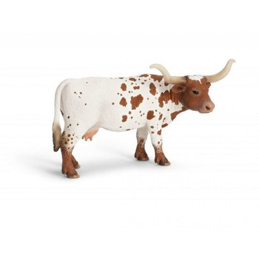 Texas Longhorn Cow