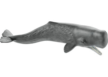 Schleich Sperm Whale