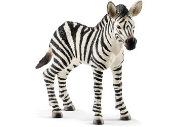 Zebra Foal (New)